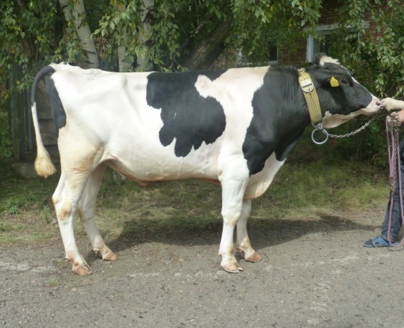 ЛОНДОН 4169 ET КСГФ-227